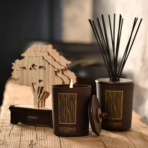 Esteban - Cèdre Decorative Diffuser