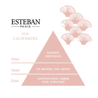 Esteban - Iris Cachemire Decorative Diffuser