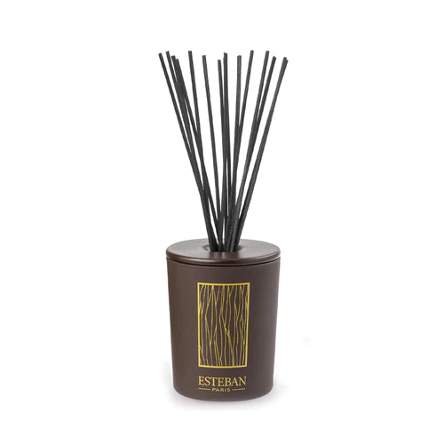 Esteban - Cèdre Decorative Diffuser