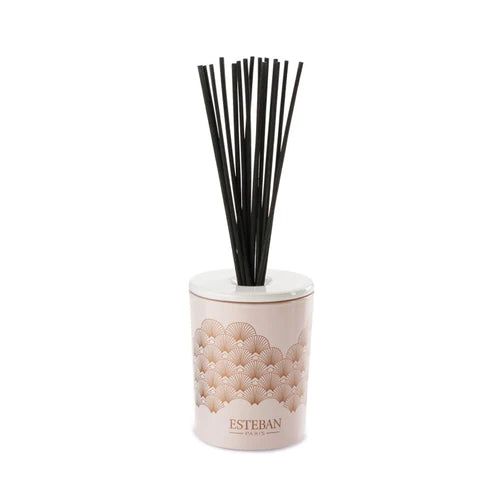 Esteban - Iris Cachemire Decorative Diffuser