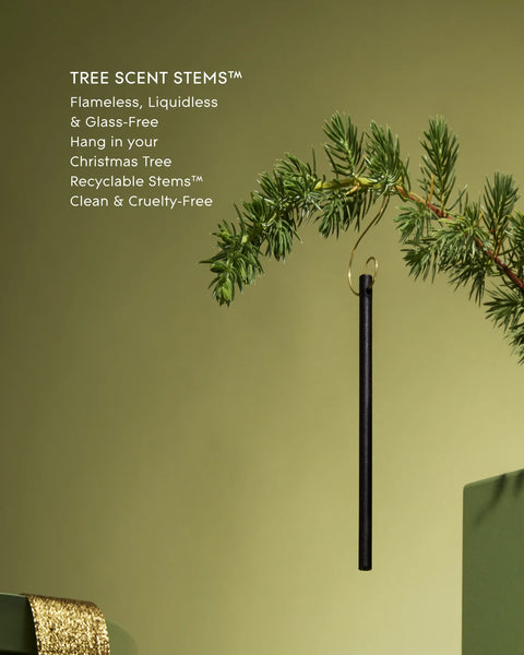 GLASSHOUSE - Tree Scent Stems
