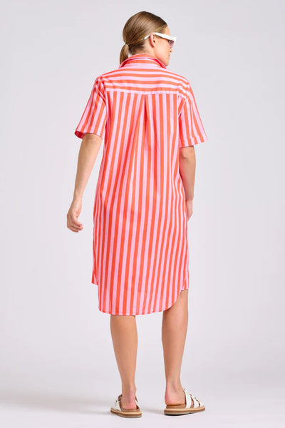 Shirty - The Caitlin Dress - Pink Papaya Stripe