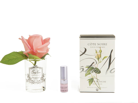 COTE NOIRE - PERFUMED NATURAL TOUCH ROSE BUD - WHITE PEACH
