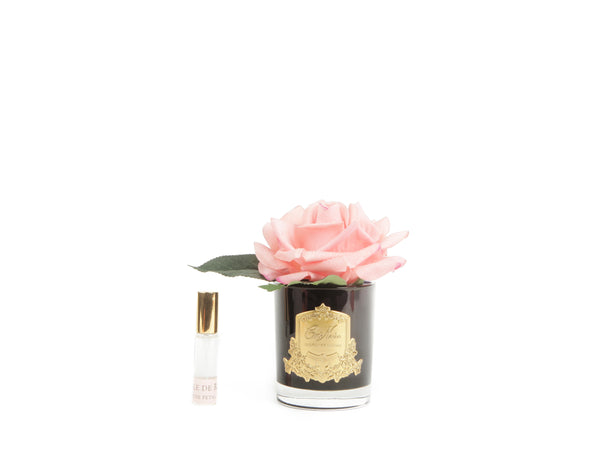 COTE NOIRE - PERFUMED NATURAL TOUCH SINGLE ROSE - WHITE PEACH