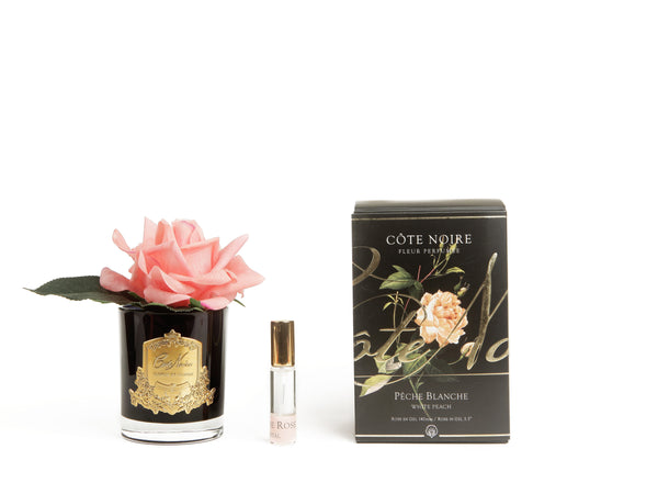 COTE NOIRE - PERFUMED NATURAL TOUCH SINGLE ROSE - WHITE PEACH
