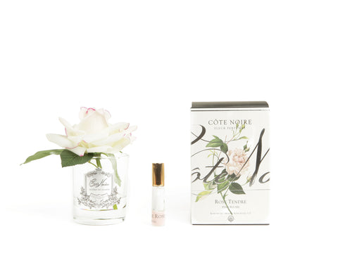 COTE NOIRE - PERFUMED NATURAL TOUCH SINGLE ROSE - PINK BLUSH
